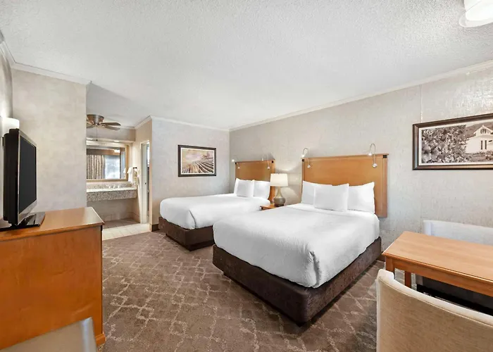 Cheap hotel: Best Western Plus Black Oak