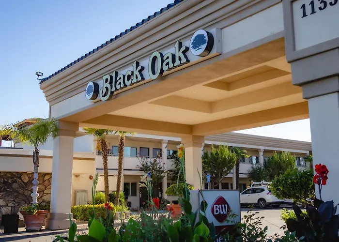 Cheap hotel: Best Western Plus Black Oak